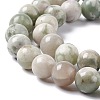 Natural Peace Jade Beads Strands X-G-G905-07-4