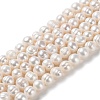 Natural Cultured Freshwater Pearl Beads Strands PEAR-E018-02-1