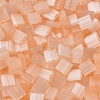MIYUKI TILA Beads SEED-JP0008-TL2552-2