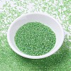 MIYUKI Delica Beads SEED-JP0008-DB1246-2