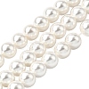 Rainbow Plated Shell Pearl Bead Strands BSHE-L025-02-8mm-1