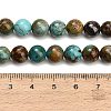 Natural Turquoise Beads Strands G-G475-A05-8mm-5