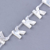 Sea Shell Beads X-SHEL-T012-60K-2