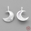 925 Sterling Silver Charms STER-G011-28MS-2