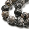 Natural Map Stone/Picasso Stone/Picasso Jasper Beads Strands G-C079-B05-02-4