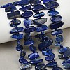 Natural Lapis Lazuli Beads Strands G-L657-E01-01-1