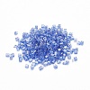 6/0 Glass Seed Beads SEED-YW0001-25G-2