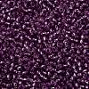TOHO Round Seed Beads SEED-JPTR11-2219-2