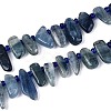 Natural Kyanite/Cyanite/Disthene Beads Strands G-Z091-A22-4