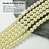 Grade A Glass Pearl Beads HY-J001-10mm-HX003-3