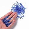 8/0 Glass Seed Beads SEED-US0003-3mm-106-4