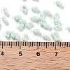 Baking Paint Glass Seed Beads SEED-A033-05R-4