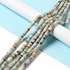 Natural Amazonite Heishi Beads Strands G-I326-08-2