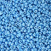 8/0 Glass Seed Beads SEED-A012-3mm-123-2