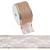 Polyester Glitter Lace Trim OCOR-WH0109-007-1