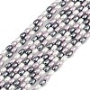 Electroplated Shell Pearl Beads Strands BSHE-H113-06A-04-1