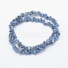 Electroplate Glass Beads Strands EGLA-J143-B-FR01-2