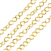 Iron Twisted Chains CH-1.4BSFD-G-1