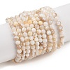 Natural Freshwater Shell Beads Strands SHEL-T011-02-3mm-1