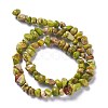 Natural Imperial Jasper Bead Strands G-P444-05-3