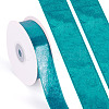 1 Roll Imitation Leather Polyester Ribbon LC-TA0001-02A-2