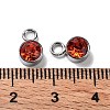 Glass Rhinestone Charms STAS-F189-P05-3
