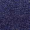 MIYUKI Round Rocailles Beads SEED-X0055-RR0434-3