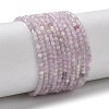 Natural Kunzite/Spodumene Beads Strands G-L651-C12-2mm-02-2