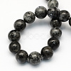 Natural Larvikite Round Beads Strands X-G-S159-4mm-2