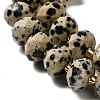Natural Dalmatian Jasper Beads Strands G-P573-A63-10x6mm-4