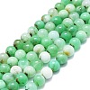Natural Chrysoprase Beads Strands G-K245-A12-05-1