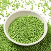 Opaque Glass Seed Beads SEED-S042-22B-03-2