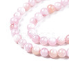 Natural Freshwater Shell Beads Strands BSHE-T009A-01C-3