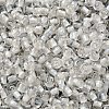 6/0 Transparent Inside Colours Glass Seed Beads SEED-P006-01A-15-3