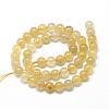 Natural Gold Rutilated Quartz Beads Strands G-R446-8mm-12-2