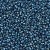 MIYUKI Delica Beads X-SEED-J020-DB2384-3