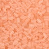 FGB Frosted Transparent Glass Seed Beads SEED-N013-05A-04-3