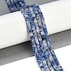 Natural Blue Spot Jasper  Beads Strands G-B129-A10-01-2