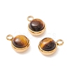Natural Mixed Stone Charms G-K325-01G-2