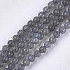 Natural Labradorite Beads Strands X-G-S333-6mm-035-1