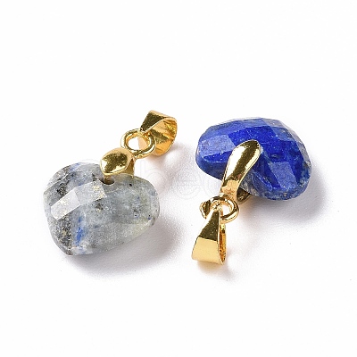 Natural Lapis Lazuli Pendants G-C023-07G-1