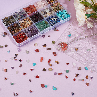 15 Styles Natural & Synthetic Mixed Gemstone Chip Beads G-PA0001-99-1