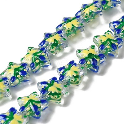 Handmade Lampwork Beads Strands LAMP-K037-15C-1