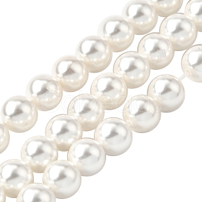 Rainbow Plated Shell Pearl Bead Strands BSHE-L025-02-8mm-1