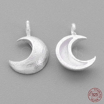 925 Sterling Silver Charms STER-G011-28MS-1