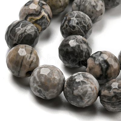 Natural Map Stone/Picasso Stone/Picasso Jasper Beads Strands G-C079-B05-02-1