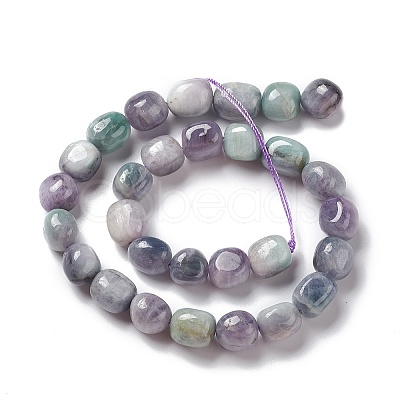 Natural Kunzite Beads Strands G-K331-005B-1