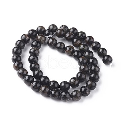 Natural Biotite Beads Strands G-L528-06C-1