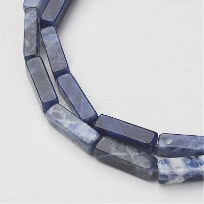 Natural Sodalite Beads Strands G-G968-D02-1