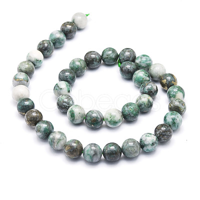 Natural Dioptase Round Beads Strands G-E569-Q01-C-1